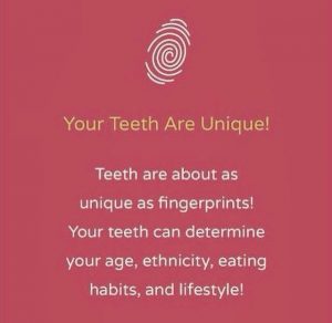Από τα δόντια σας κάποιος μπορεί να καταλάβει την ηλικία σας. Όπως και την εθνικότητα,τις διατροφικές σας συνήθειες και τον τρόπο ζωής σας γενικότερα.