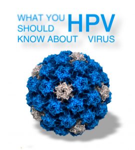 The human papilloma virus (HPV) is a double-stranded DNA virus that infects the epithelial cells of skin and mucosa.