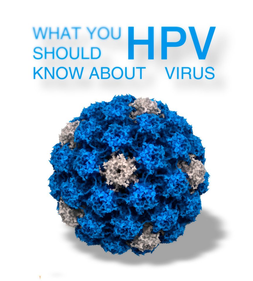 Ο HPV (Human papilloma virus, Ιός των ανθρωπίνων θηλωμάτων) είναι ένας ιός που βασίζεται στο DNA και μολύνει το δέρμα και τις βλεννογόνες μεμβράνες των ανθρώπων.Ο HPV αποτελεί