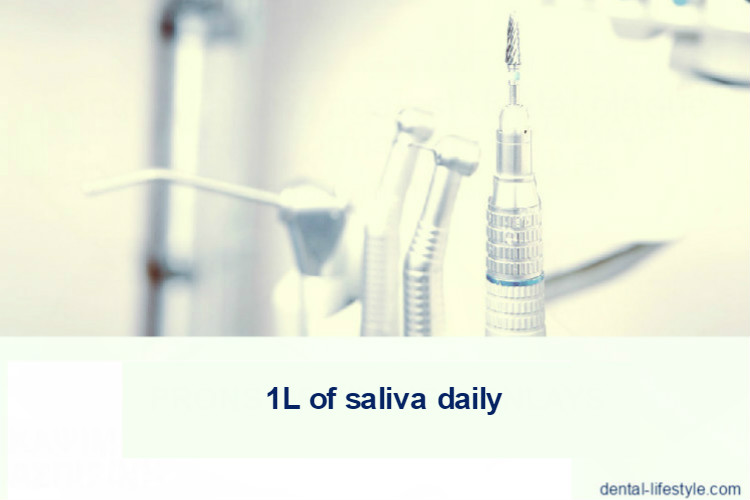 Did you know that the average person produces a quart of saliva daily?