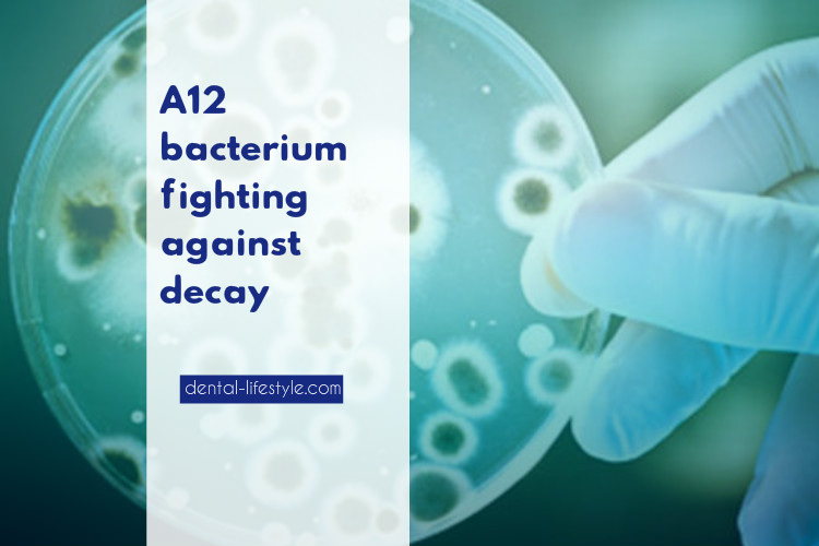 What is Α12 bacterium and what are it's magical abilities?How does it fight against decay?