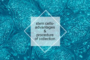 Stem cells have many advantages and i am sure you have been listening to their name coming up lately a lot. So take a read at the following article and learn all about them