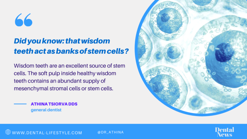Did you know: that wisdom teeth act as banks of stem cells?